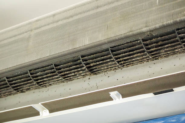 Best Emergency Air Duct Cleaning  in Hlside, IL